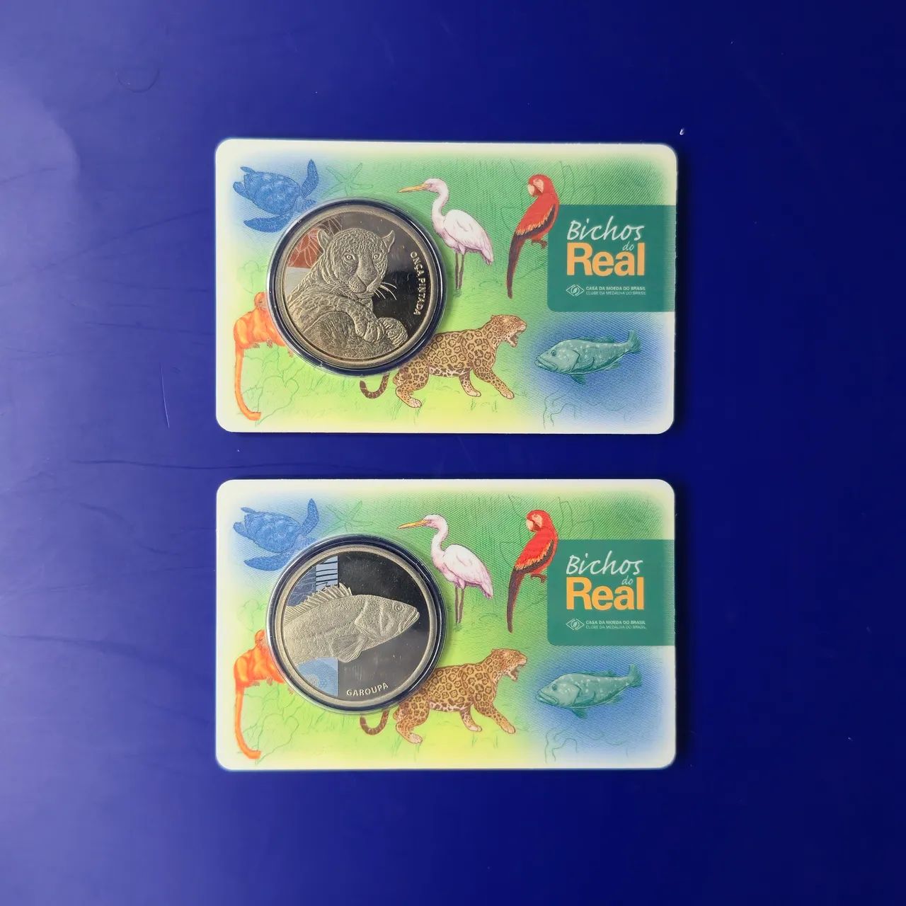  Série completa "Bichos do Real" - 2018 - Foto 4