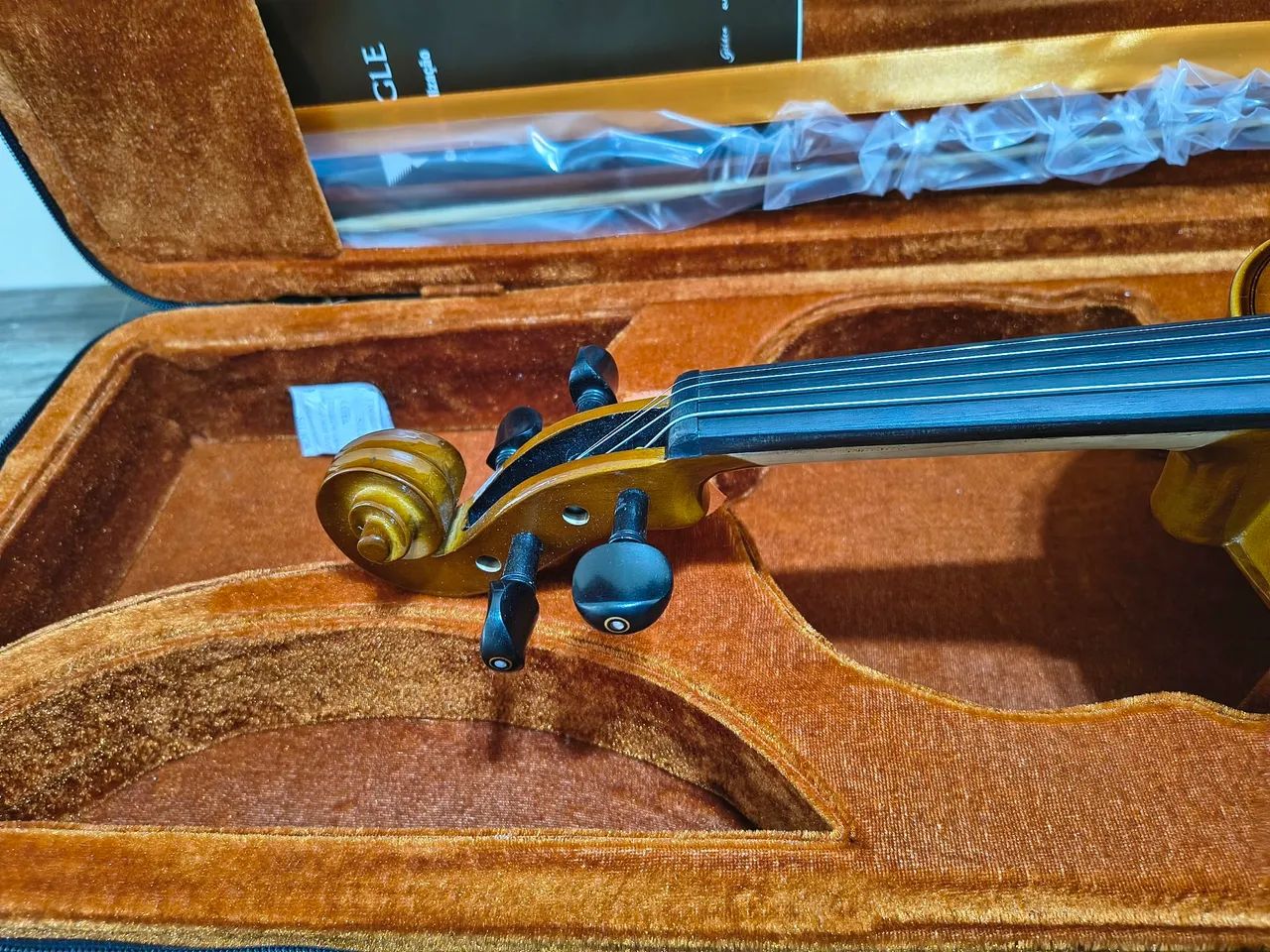 Violino Eagle VE144 Completo  - Foto 4