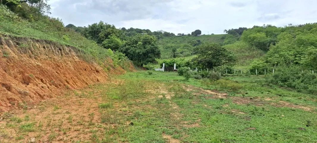 Vendo Sítio 3 Hectares com Açude e Cacimba de Água Mineral - Foto 2