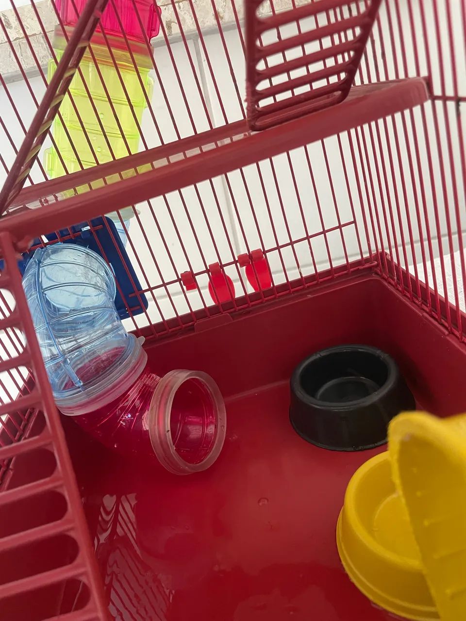 Gaiola Hamster ?  - Foto 5
