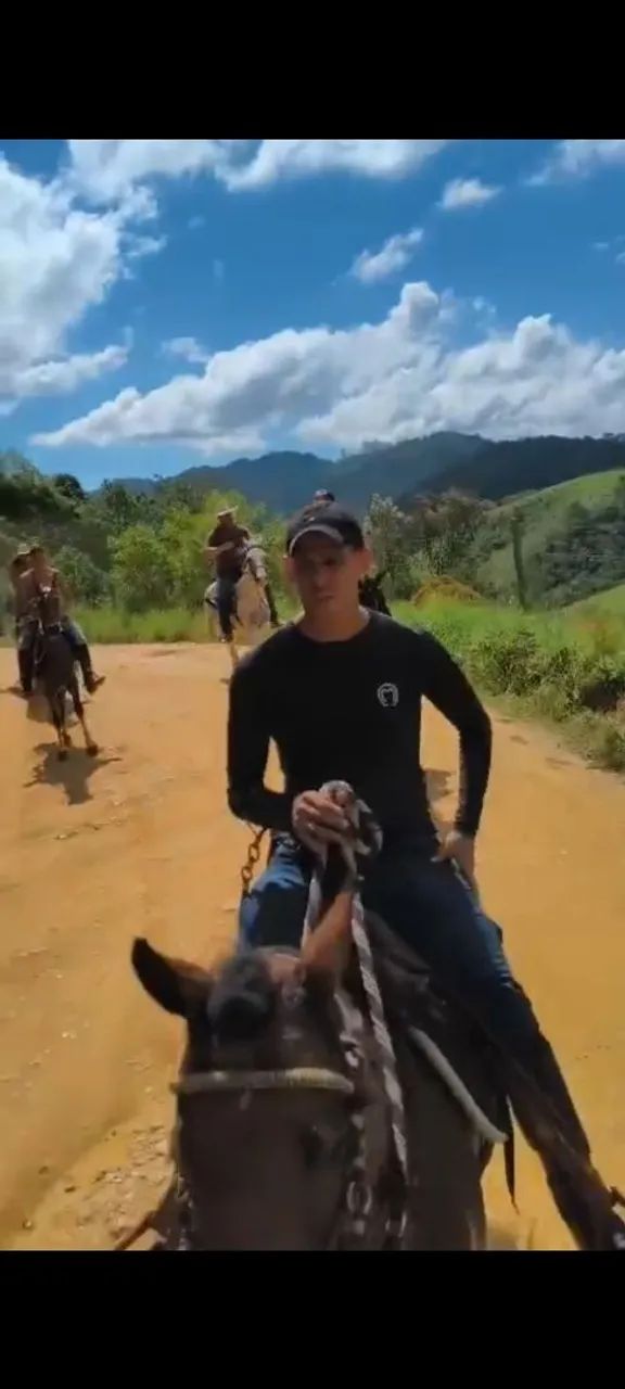Cavalo Castrado Marcha Picada - Foto 6