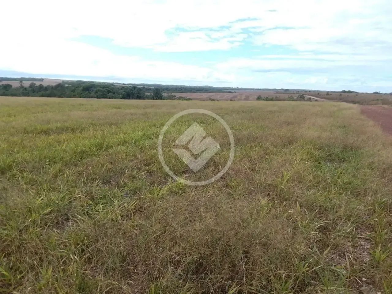 FAZENDA PRODUTIVA DE 475,21 Alqueire codigo: 367781 - Foto 3