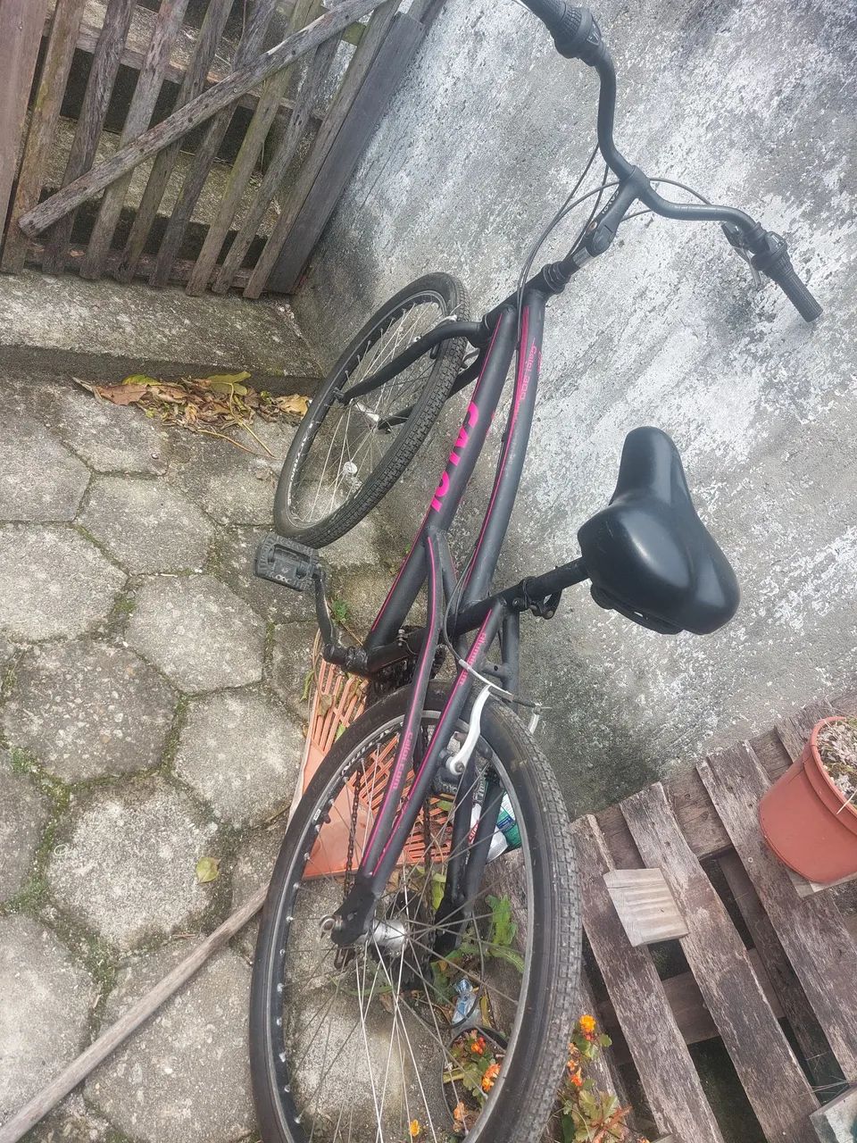 Bicicleta 