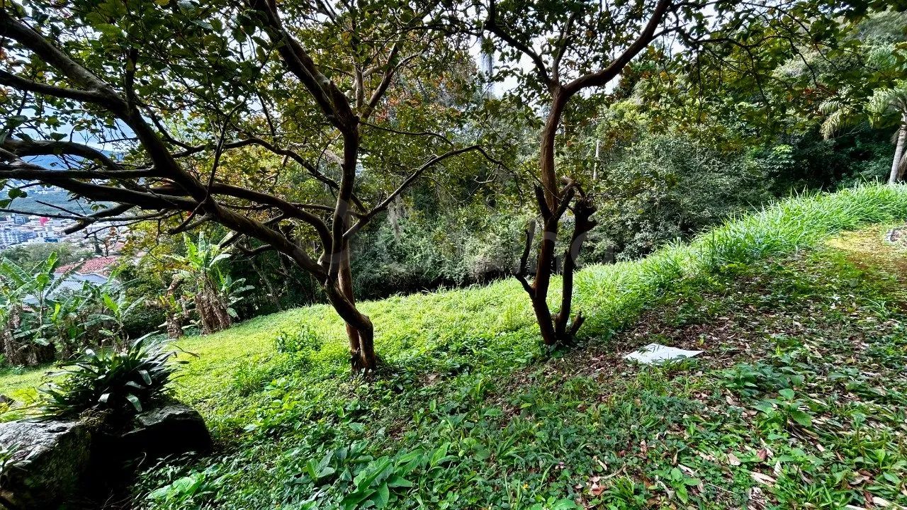 Terreno de 1.003,00 m² na Trindade - Foto 3