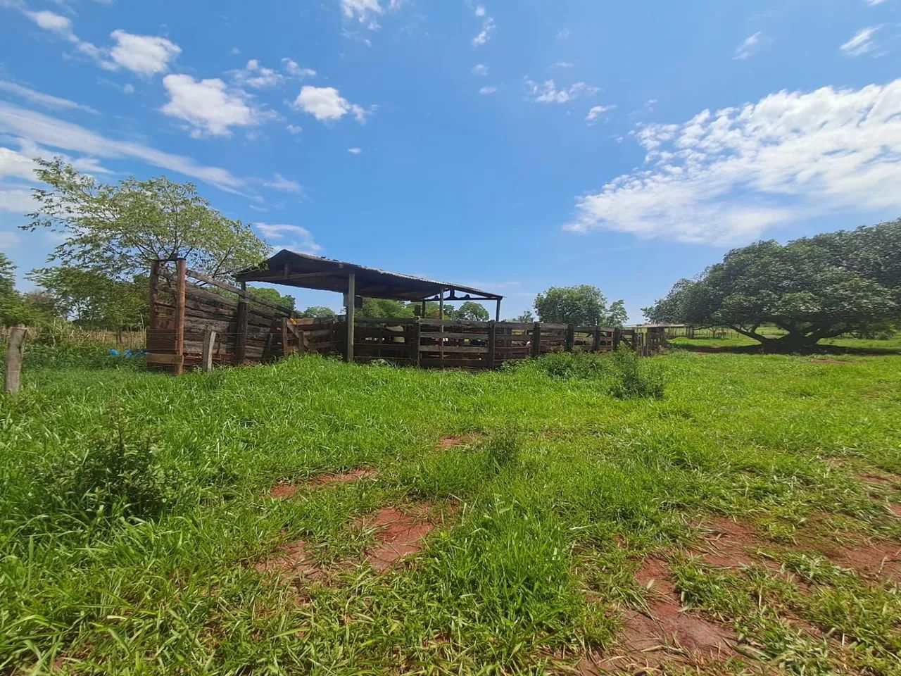 Chácara a Venda  - Foto 3