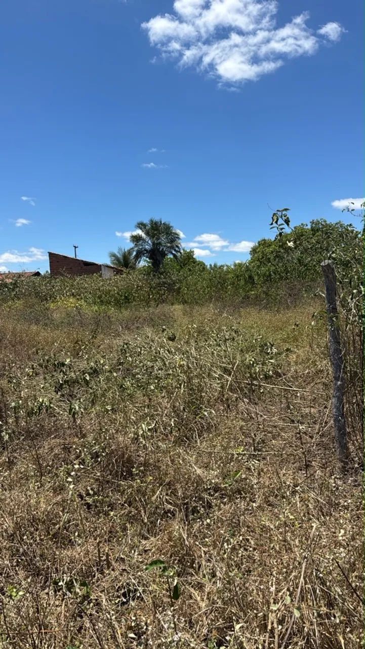 Terreno  - Foto 2