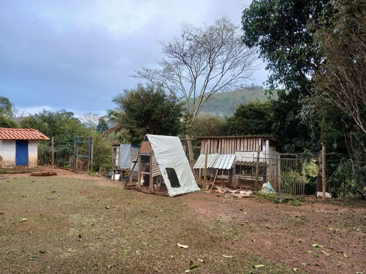 Sitio a Venda no Jorge - Foto 5