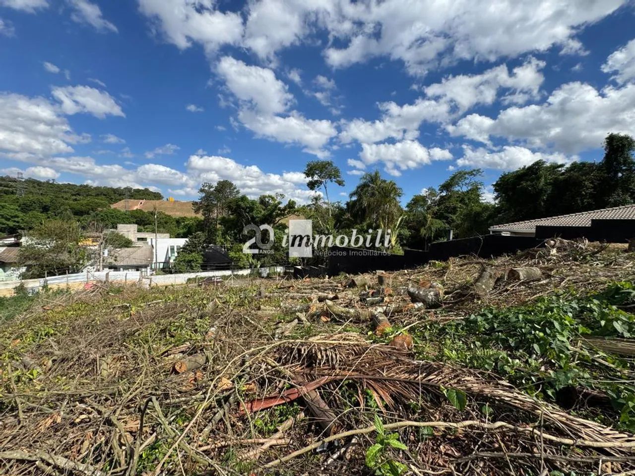 Terreno à venda em Cotia, Granja Viana, Granja Viana II (Gleba 1-2) - Foto 6