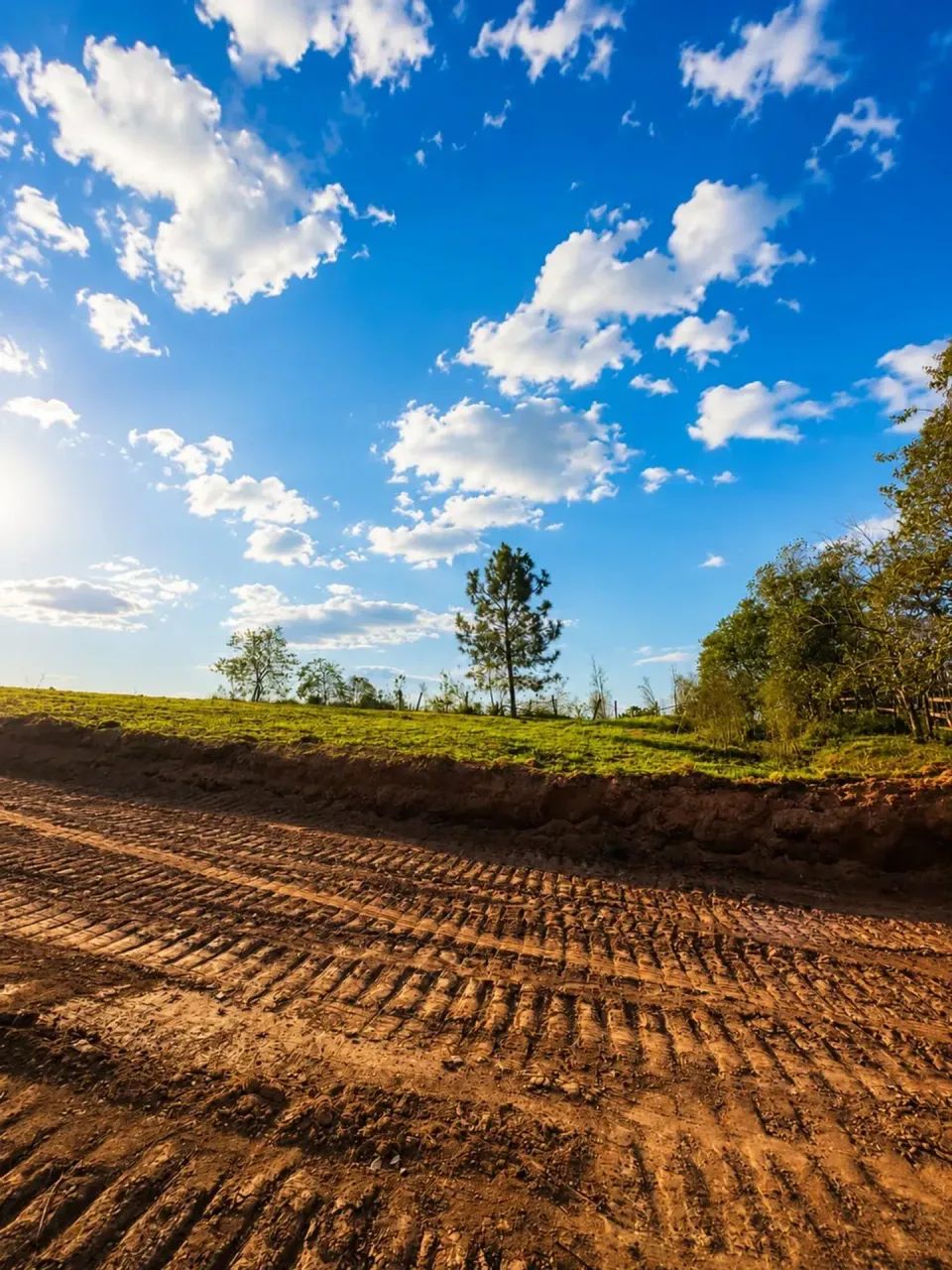 Terreno em Mairinque com árvore - Foto 3