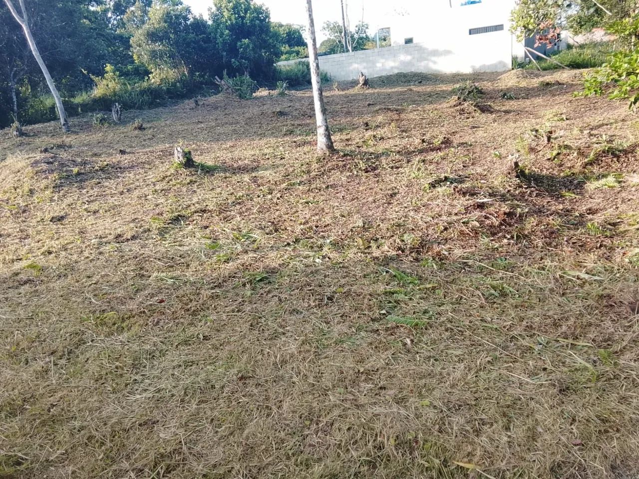 Vendo dois lotes com 350 mts cada - Foto 2