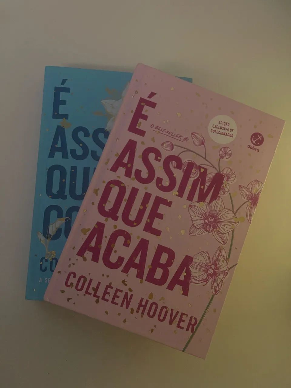 Livro É assim que acaba e É assim que começa - Foto 2