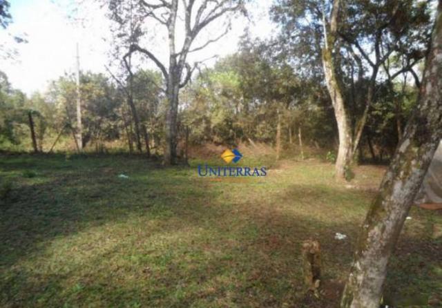 Terreno para venda em colombo no bairro são gabriel