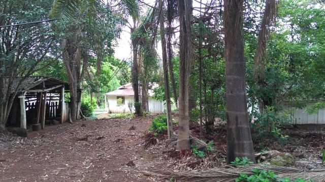 Chácara de 7.5 Alqueires . 1 Alq Mecanizado + 4 mil Pé de Eucalipto ( Jordão ) Guarapuava - Foto 14