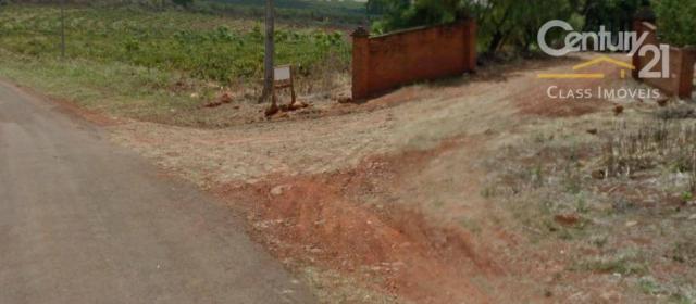 Sítio rural à venda, gleba palhano, londrina. - Foto 2