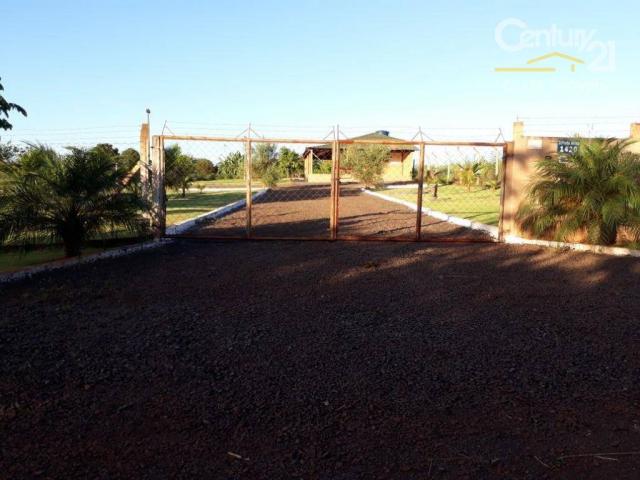 Chácara rural à venda, limoeiro, londrina. - Foto 13