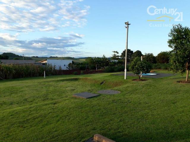 Chácara rural à venda, limoeiro, londrina. - Foto 4