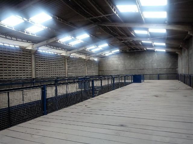 Galpão Logistico em Jardim São Paulo 600m² - Foto 9