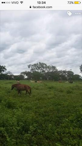Sítio em MG - Foto 3