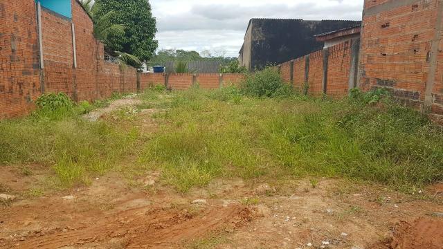 Terreno - Foto 2