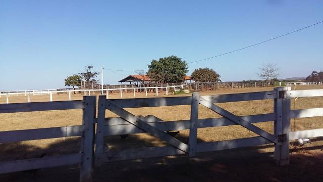 5800.ha.Em.Agua Boa MT - Foto 2