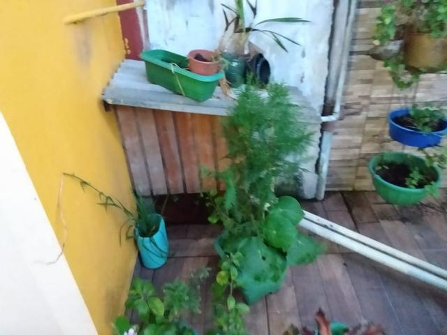 Vendo (250 mil) ou troco por casa ou apartamento em Manaus - Foto 14