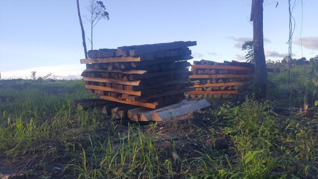 Fazenda com 280 hectares em Rorainópolis, ler descrição do anuncio - Foto 10