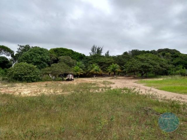 Terreno à venda em Lagoa do bonfim, Nísia floresta cod:10604 - Foto 14