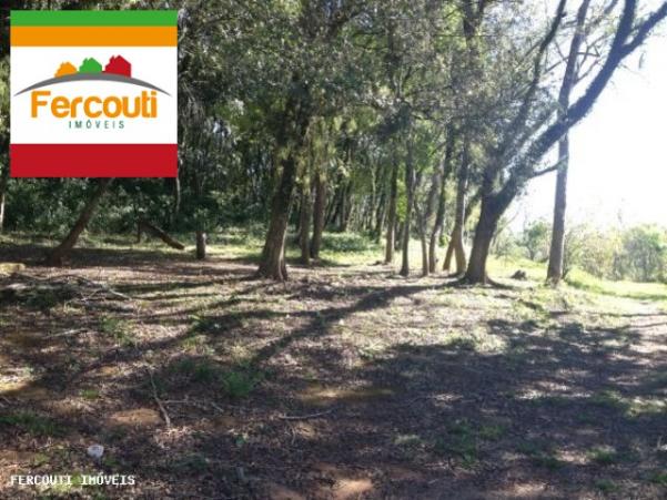 O céu ao alcance da mão à venda, lomba grande, novo hamburgo - si0019. - Foto 11