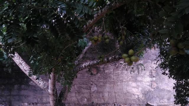 Casa com terreno em rio Largo - Foto 6