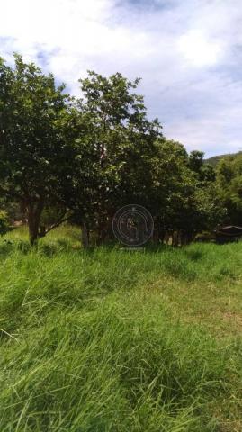 Sítio 20 ha região baú da guia mt - Foto 3