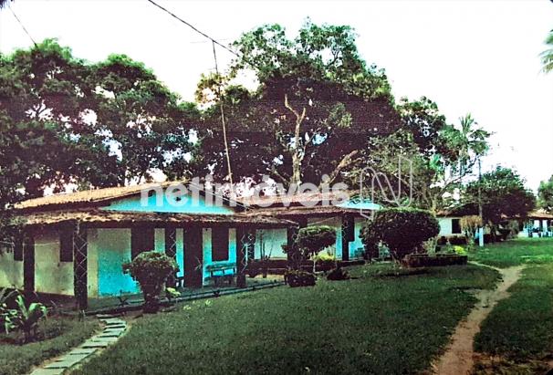 Terreno à venda em Fazenda exemplo, Cachoeira cod:766495 - Foto 9