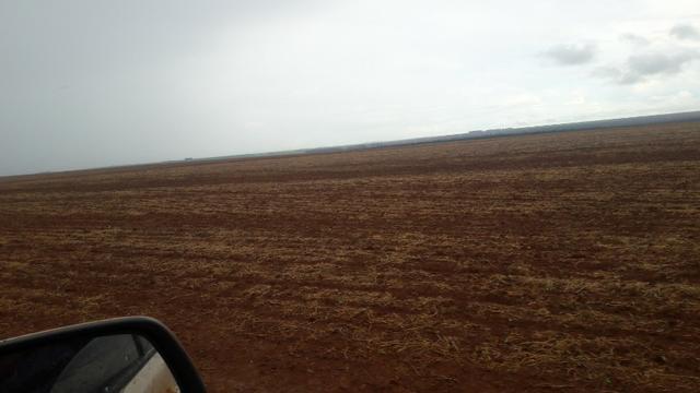 290 Hectares, lavoura mecanizada,Pecuária, Próximo BR-163 - Foto 3