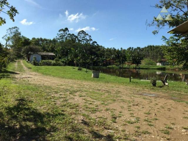 Sítio com 1 dormitório à venda, 35000 m² por r$ 950.000,00 - são cristóvão - barra velha/s - Foto 4