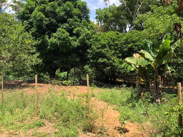 Chácara em Inhapim, 6000 m². Toda murada. Valor 250 mil - Foto 17