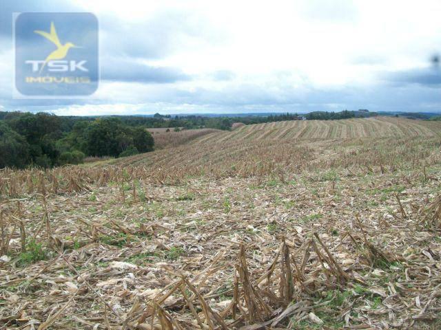Fazenda em Quitandinha - (Cerrinho) - - Foto 14