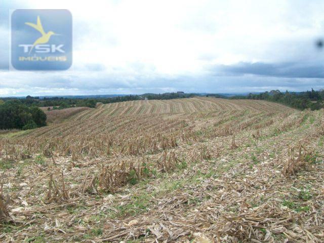Fazenda em Quitandinha - (Cerrinho) - - Foto 5