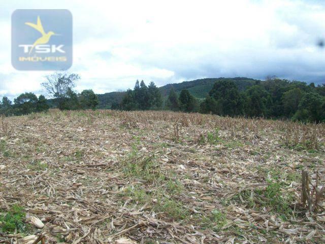 Fazenda em Quitandinha - (Cerrinho) - - Foto 15