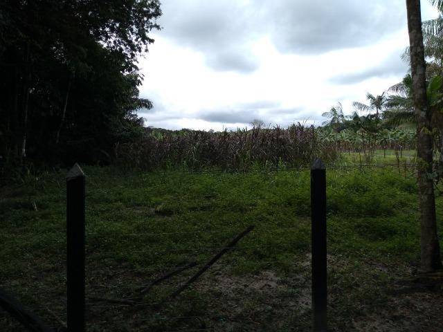 25 hectares a 55 km de Belém lindo Sitio por 200 mil reais Aceito carro na negociação - Foto 5