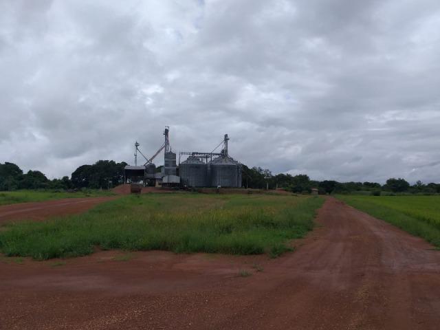 2.175 há (450 alq) pronta para produção de grãos - Foto 2