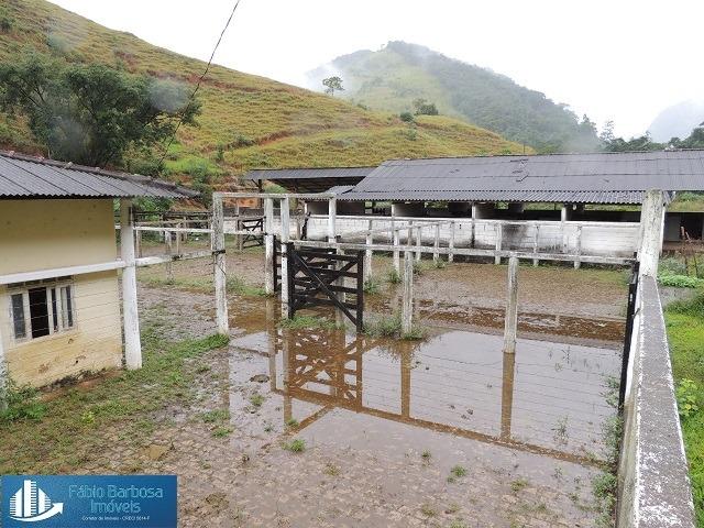 Fazenda 32,29 alq. de $ 3.571.331,05 por 2.500.000,00 - Peixe Verde - Viana - Foto 15