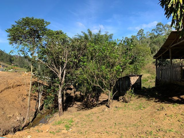 Chácara em Santa Teresa, com Casarão centenário - Foto 2
