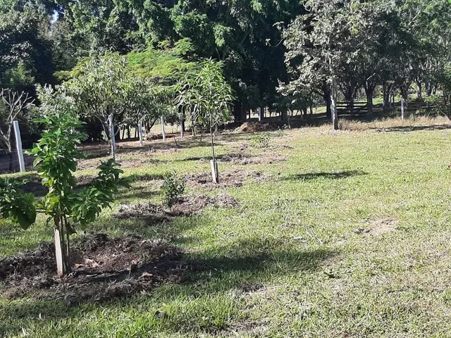 Sítio em engenho das Lajes  - Foto 3