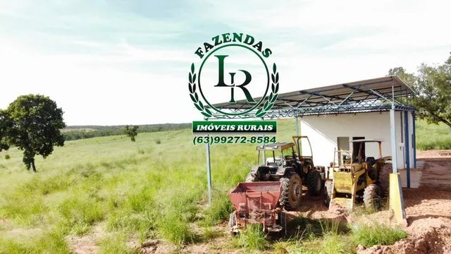 Fazenda Tocantins 127 Alqueires Oportunidade  - Foto 5