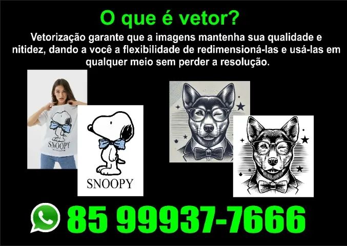 Vetorização para estampas e design em geral.