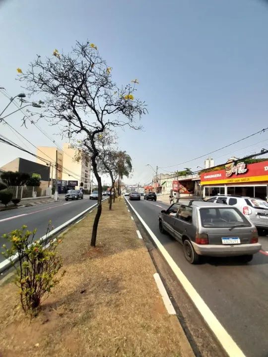 salão - Taquaral - Campinas - Foto 8