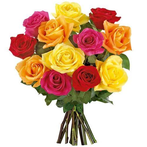 Buquê de rosas coloridas para presente