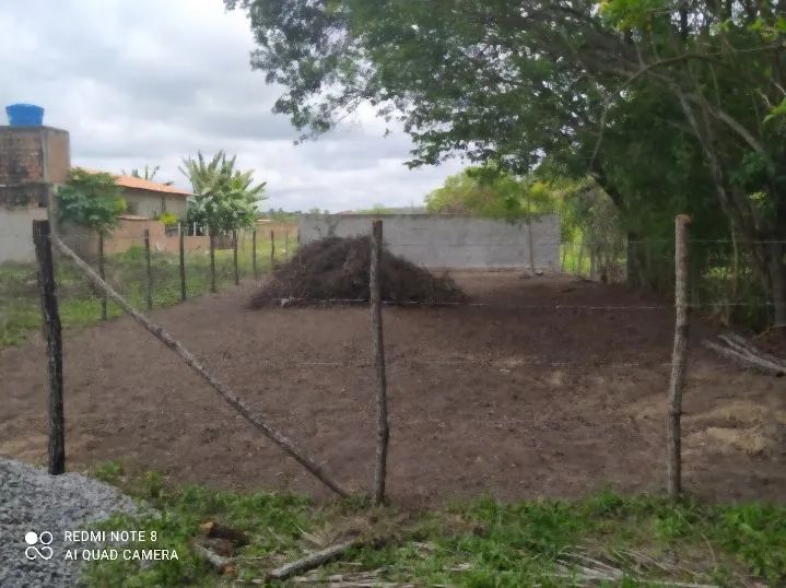 Foto - Igarassu - Saramandaia