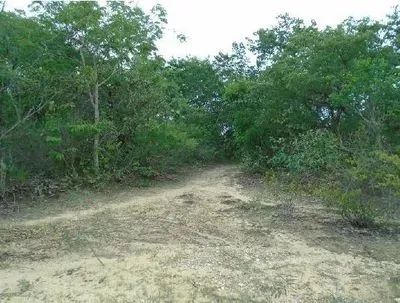 Terreno Rural 60,7798ha em Cristália/MG - Desocupado