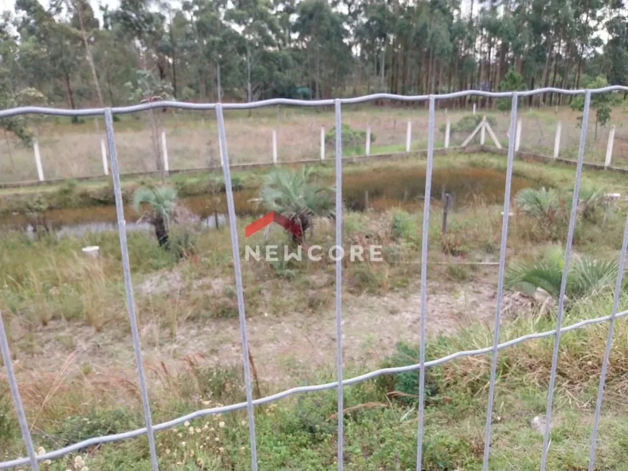 Sítio em Rua Jaime Rodrigues - Praia do Sol - Laguna/SC - Foto 13