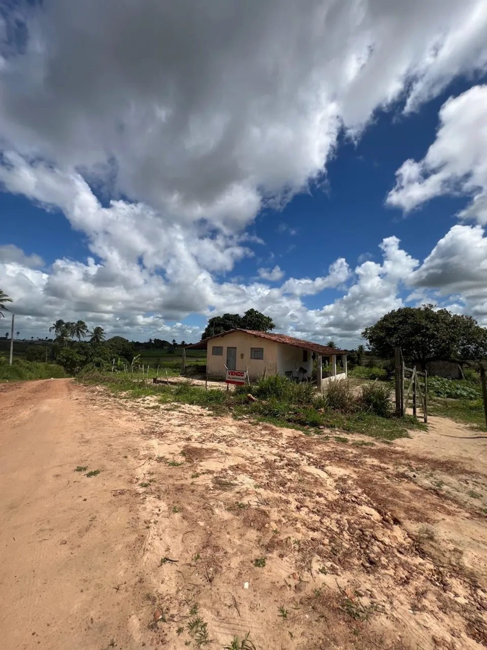 Vendo sítio em brejinho